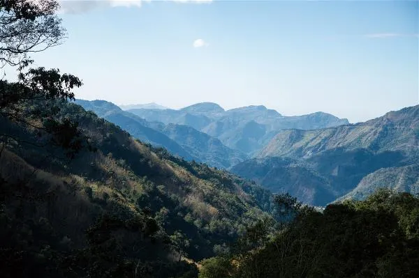在阿里山深處，雲霧如薄紗般穿行於高聳的紅檜林間，鄒族人世代在此依山林維生。